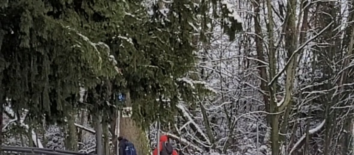 Sledding on the Lohrberg