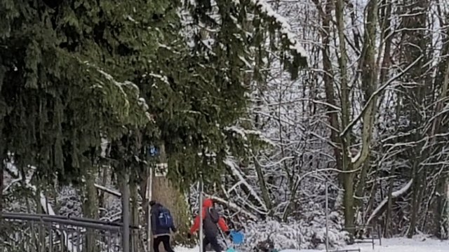 Sledding on the Lohrberg