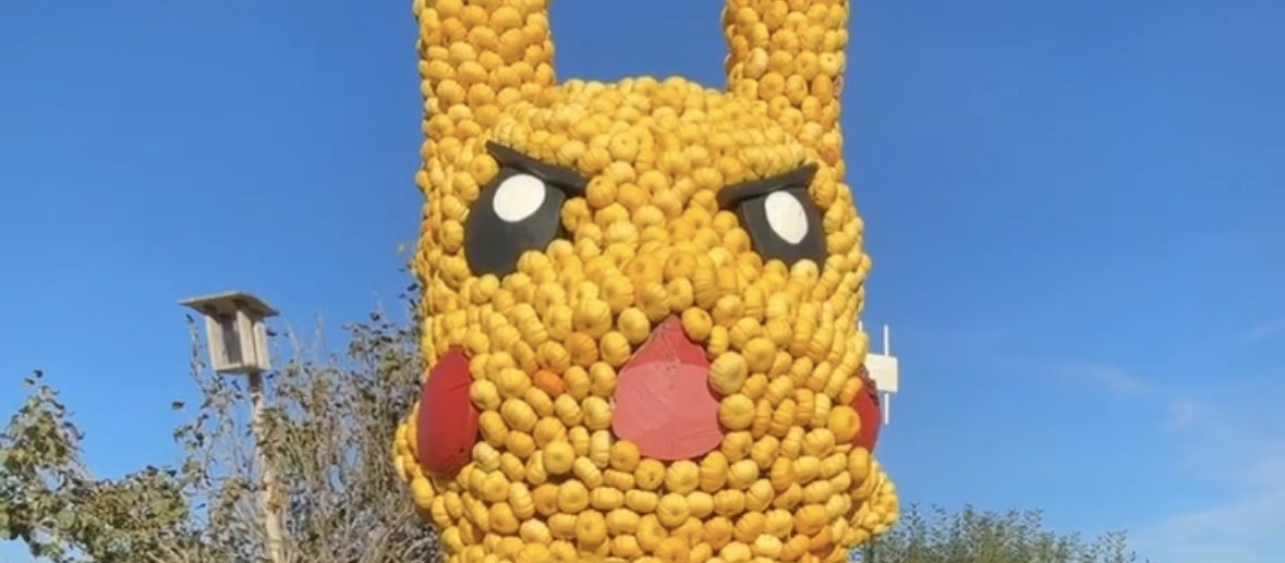 My Favorite Pumpkin Festival