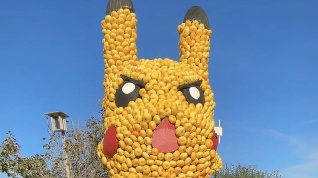 My Favorite Pumpkin Festival