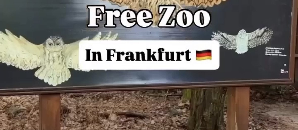 FREE ZOO in Frankfurt?