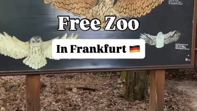 FREE ZOO in Frankfurt?