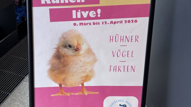 Mainz Day Trip With Kids - 12. April.2026