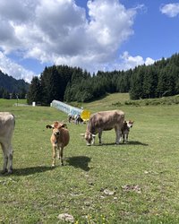 IMG_8141