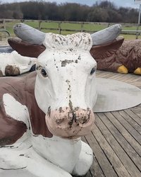 Image 07.01.24 at 21.18