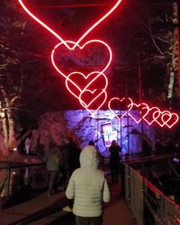 Screenshot_20240105-212847_Gallery