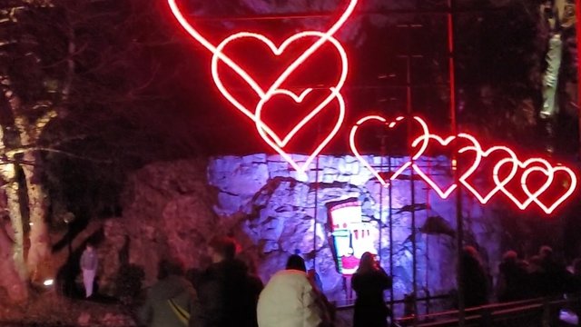 Winter Light Show at Palmengarten