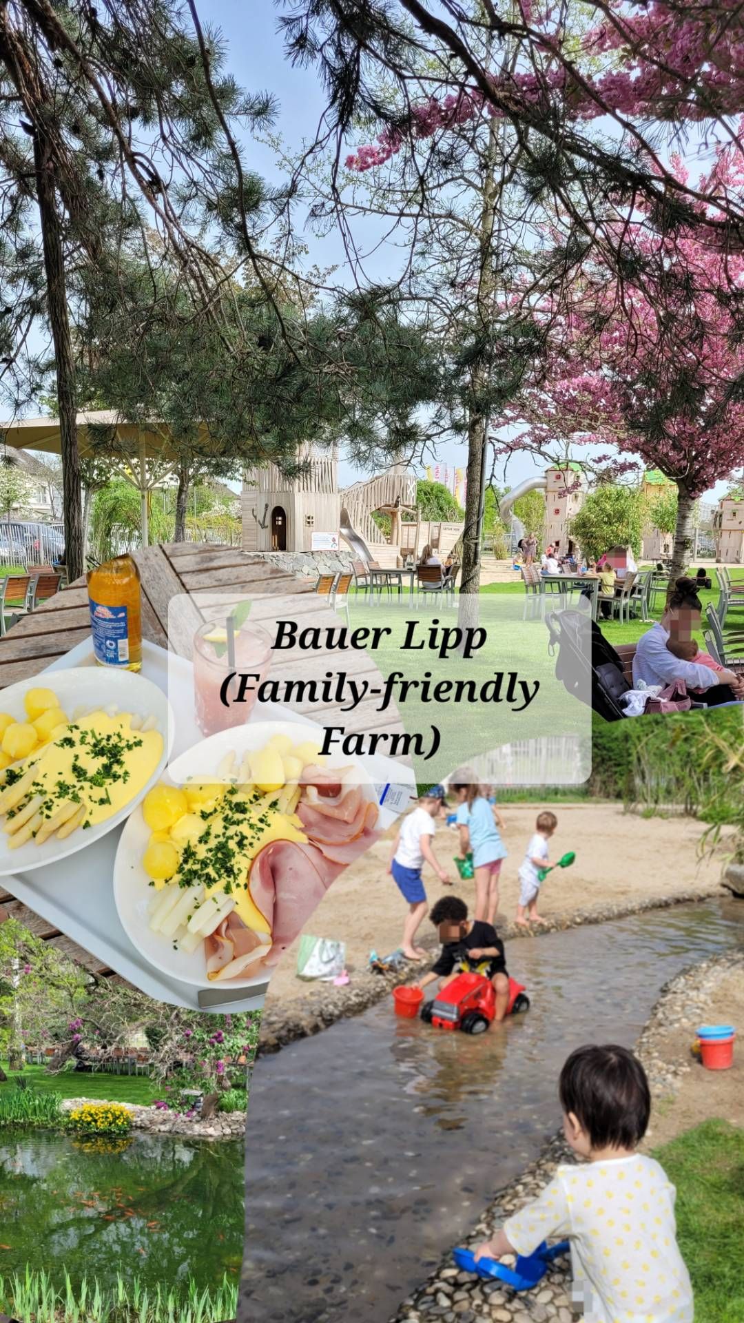 Bauer Lipp Hofladen & Erlebnisbauernhof